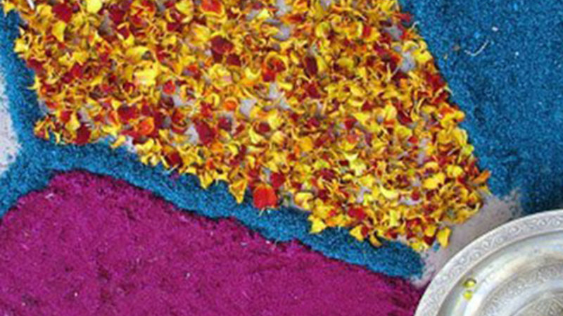 Healing: The Colorful Pieces of Healing 1 The Colorful Pieces of Healing