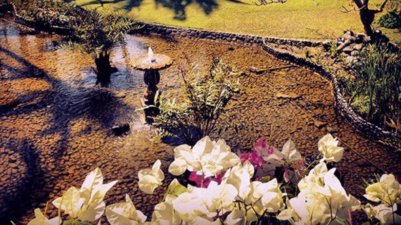 What Is True Love Really All About? 1 Getting-Things-Straight-What-True-Love-Is-Really-All-about