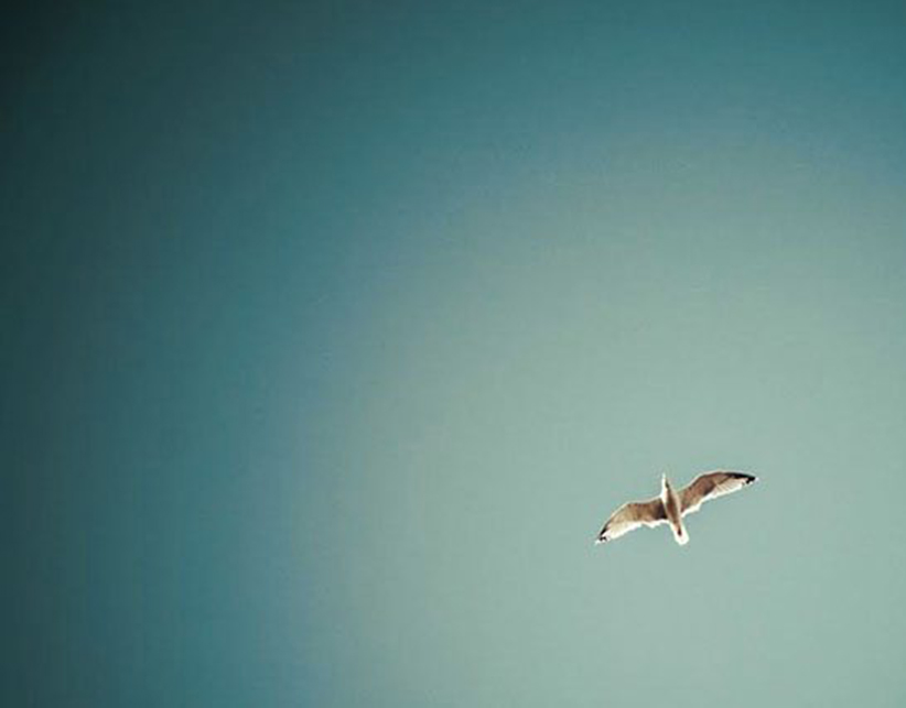 How to Make Peace with Your Past and Heal Your Life 1 How-to-Make-Peace-with-Your-Past-and-Heal-Your-Life