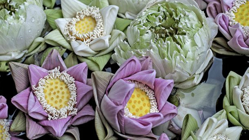 6 Ways to Infuse More Love into Your Life 1 6-Ways-to-Infuse-More-Love-into-Your-Life