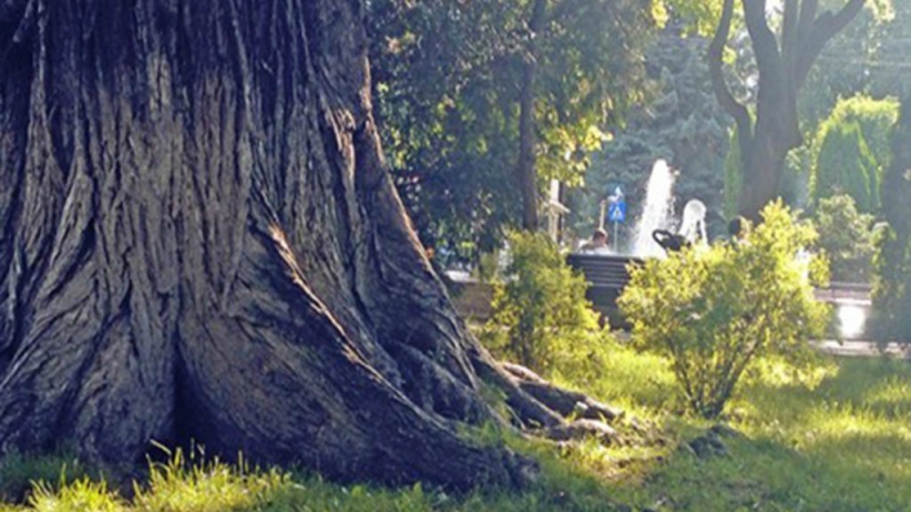 Heal Your Life: Guided Meditation 1 Heal-Your-Life-Guided-Meditation-498x3491-1024x768