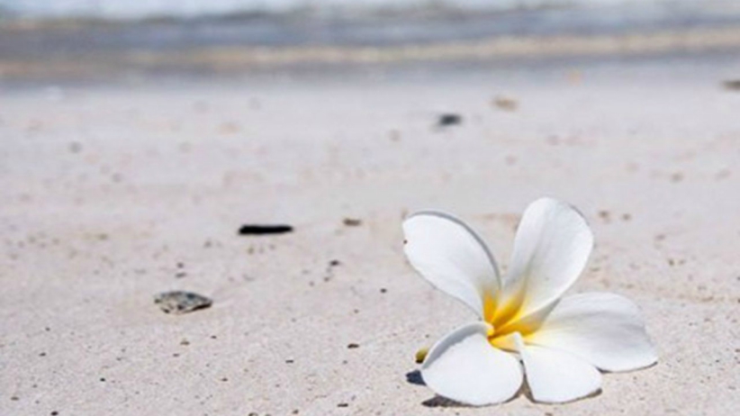 On Learning to Let Go of Blame 1 On-Learning-to-Let-Go-of-Blame