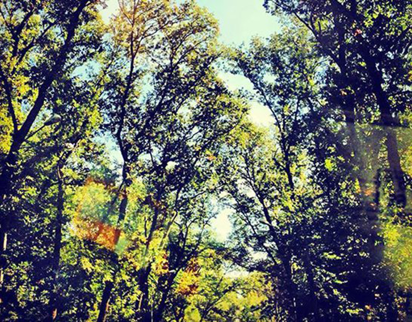 The Alchemy of Forgiveness: How to Let Go of Resentment and Let Love Govern Your Heart 1 The-Alchemy-of-Forgiveness