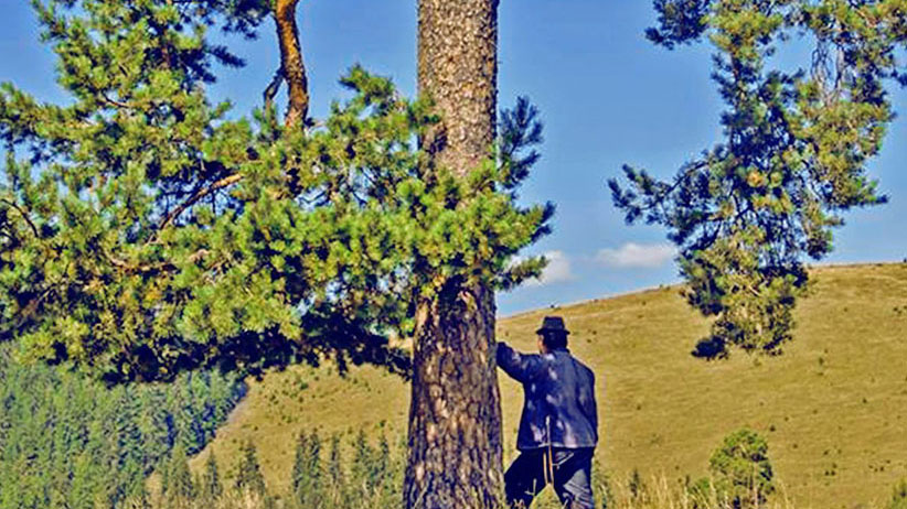 Henry David Thoreau: 35 Life-Changing Lessons to Learn from Henry David Thoreau 1 35-Life-Lessons-to-Learn-from-Henry-David-Thoreau