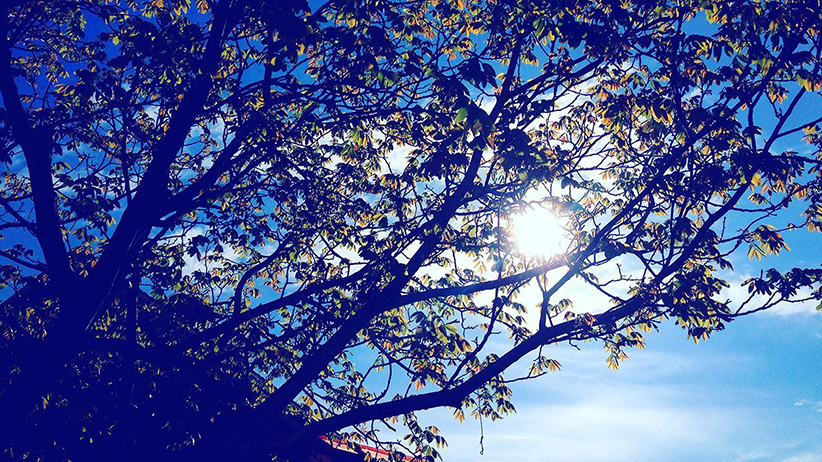 Why Acknowledging Your Wounds Is Essential for Healing 1 Why Acknowledging Your Wounds Is Essential for Healing
