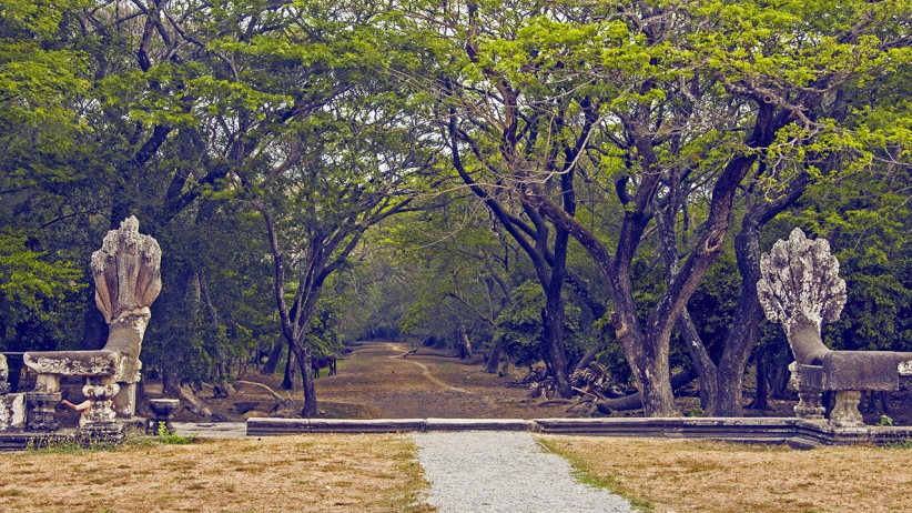 On Having the Courage to Follow Your Heart and Intuition 1 On-Having-the-Courage-to-Follow-Your-Heart-and-Intuition