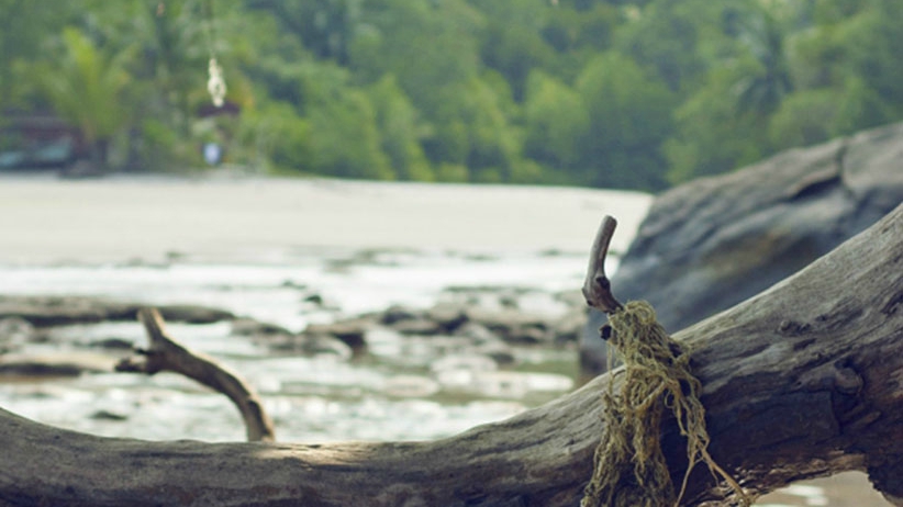 Overcoming Addiction: 5 Powerful Habits You Learn Through Recovery 1 Overcoming Addiction: 5 Powerful Habits You Learn Through Recovery