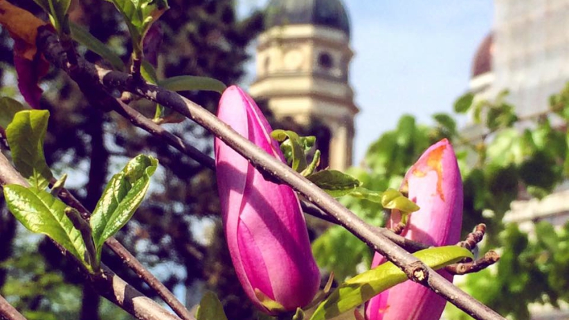 5 Ways to Become a Better Person 1 5 Ways to Become a Better Person