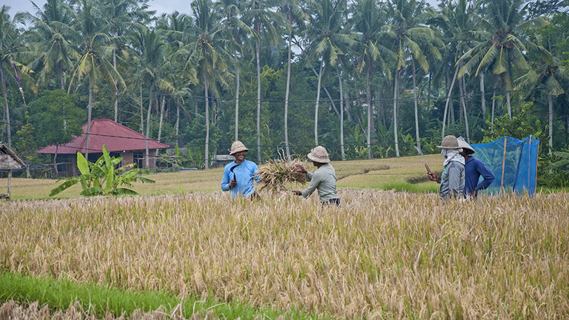 Asia Travels – The Beauty of Bali, Indonesia20