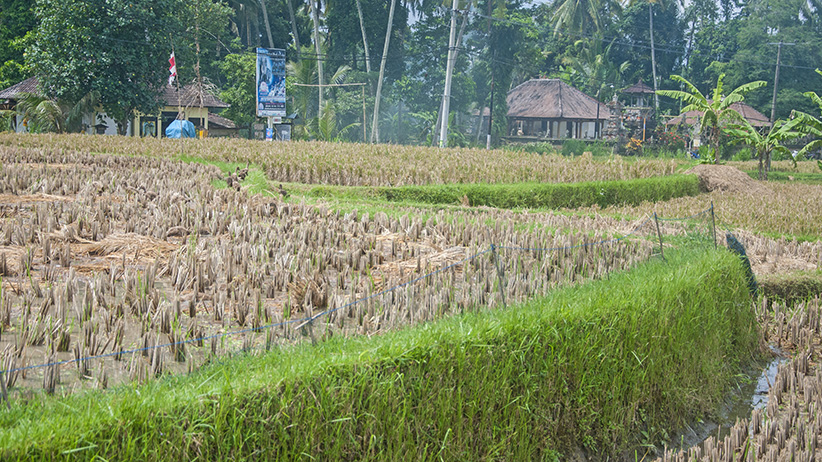 Asia Travels – The Beauty of Bali, Indonesia32