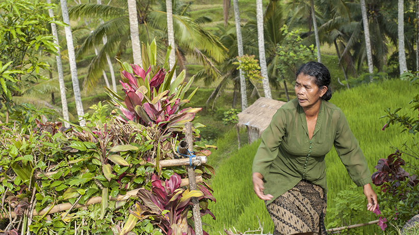 Asia Travels – The Beauty of Bali Indonesia 5 Asia Travels – The Beauty of Bali, Indonesia4