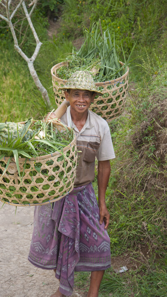 Asia Travels – The Beauty of Bali, Indonesia40