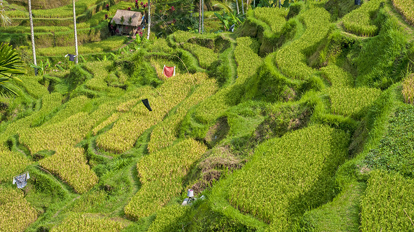 Asia Travels – The Beauty of Bali Indonesia 6 Asia Travels – The Beauty of Bali, Indonesia41