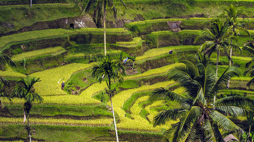 Asia Travels – The Beauty of Bali, Indonesia5