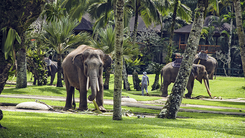 Asia Travels – The Beauty of Bali Indonesia 8 Asia Travels – The Beauty of Bali, Indonesia6