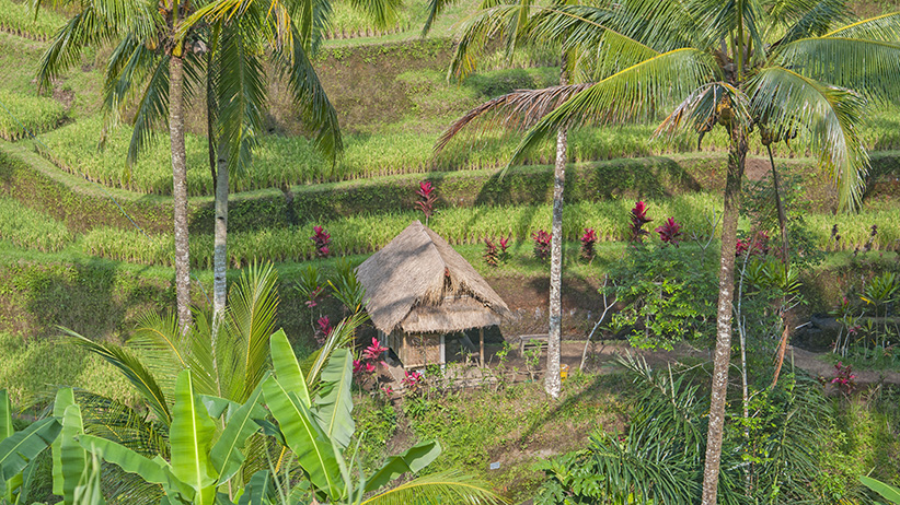 Asia Travels – The Beauty of Bali Indonesia 11 Asia Travels – The Beauty of Bali, Indonesia8