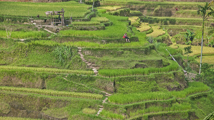 Asia Travels – The Beauty of Bali, Indonesia9