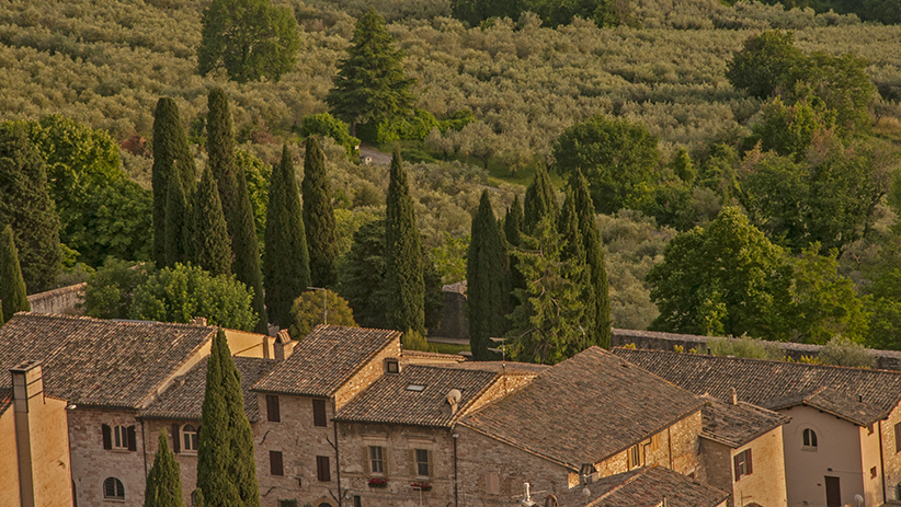 50 Stunning Photos to Inspire You to Visit Assisi, Italy11