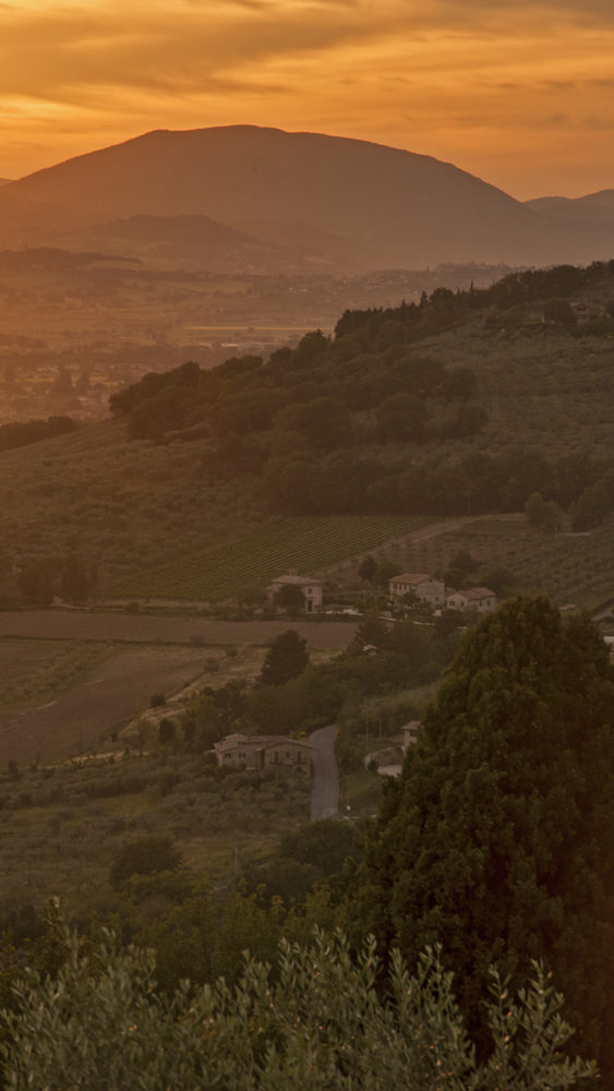 50 Stunning Photos to Inspire You to Visit Assisi, Italy46