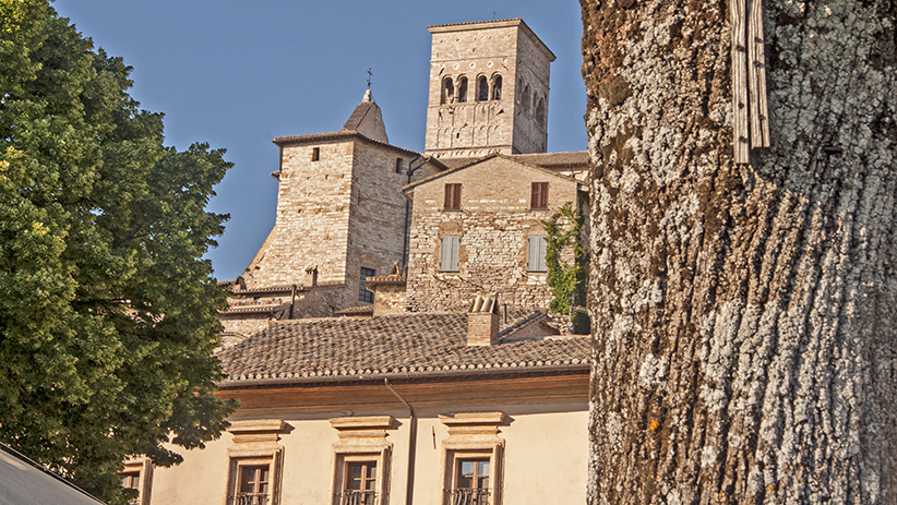 50 Stunning Photos to Inspire You to Visit Assisi, Italy50