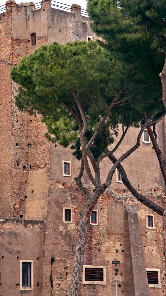 Rome Photos- 50 Photographs to Inspire You to Visit Rome, Italy27