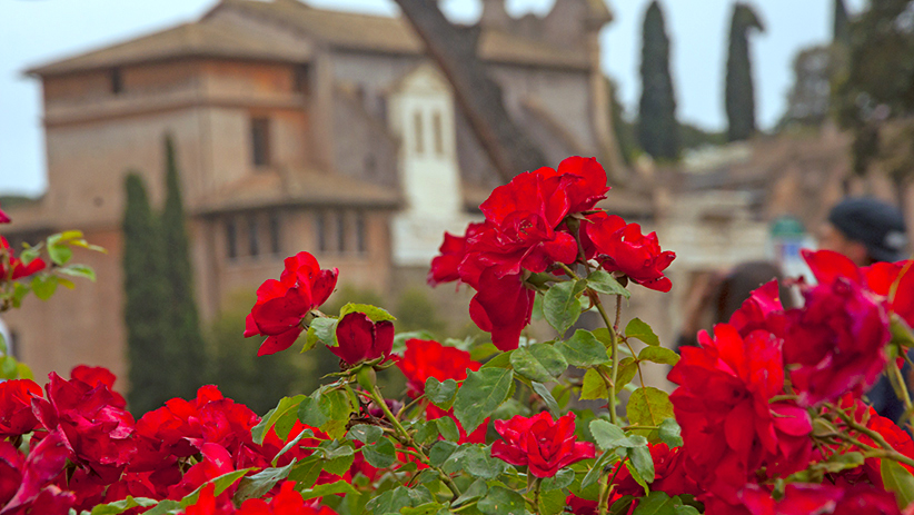 Rome Photos: 50 Photographs to Inspire You to Visit Rome, Italy 29 Visit Italy