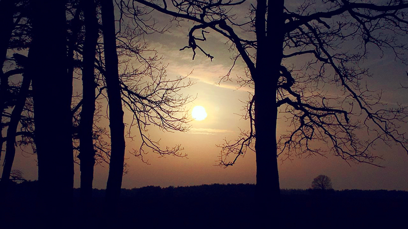How to Honor Your Calling (Even When Life Gets in the Way) 1 How to Honor Your Calling (Even When Life Gets in the Way)