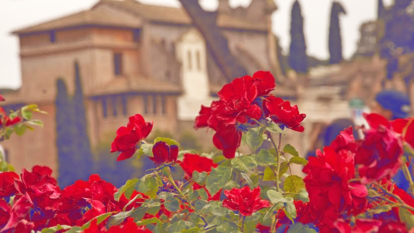 St. Therese of Lisieux: 24 Life-Changing Lessons to Learn from St. Therese of Lisieux 1 24 Life-Changing Lessons to Learn from St. Therese of Lisieux