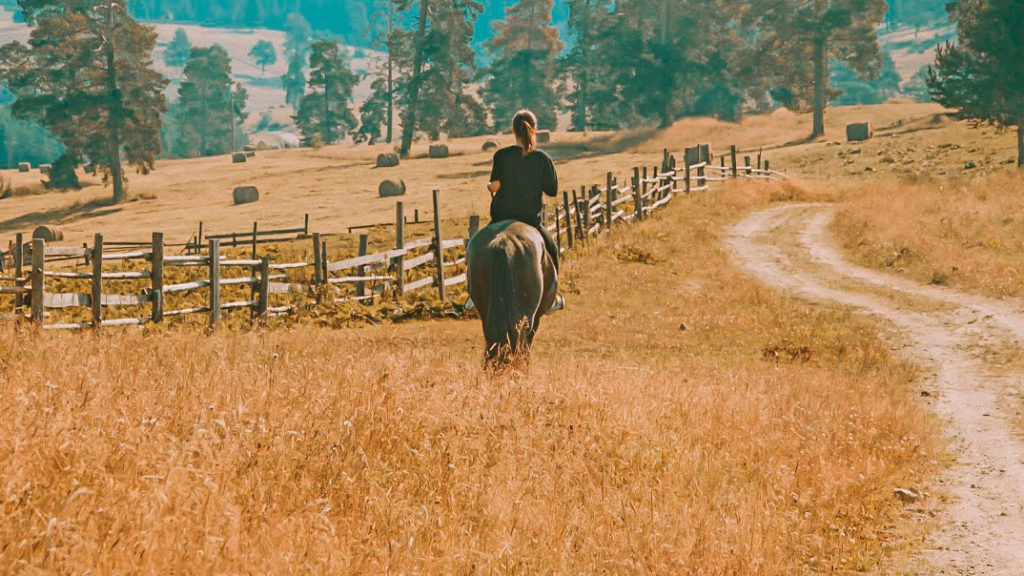The Powerful Connection Between Change and Finding Your Life Purpose 1 The Powerful Connection Between Change and Finding Your Life Purpose