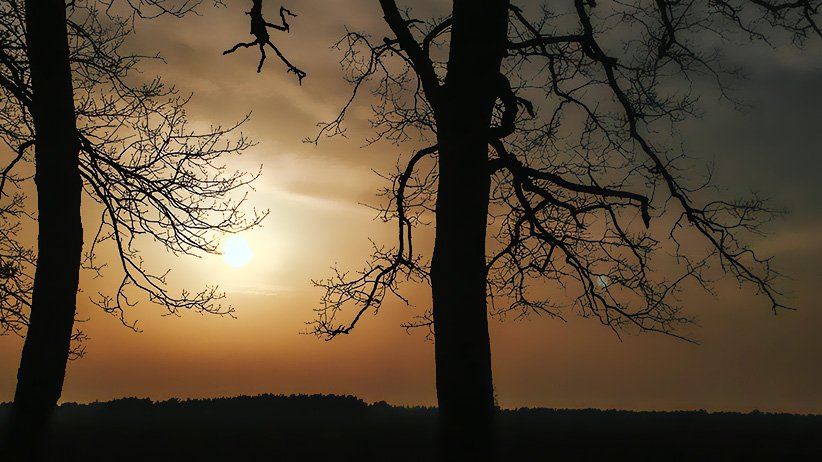 How Grounding Can Improve the Quality of Your Life 1 How Grounding Can Improve the Quality of Your Life