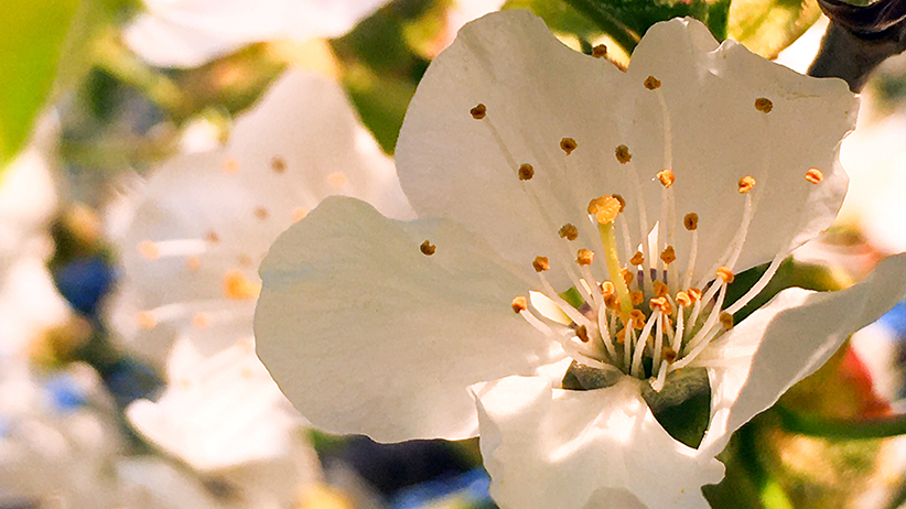 8 Good Reasons You Should Let Go of Clutter