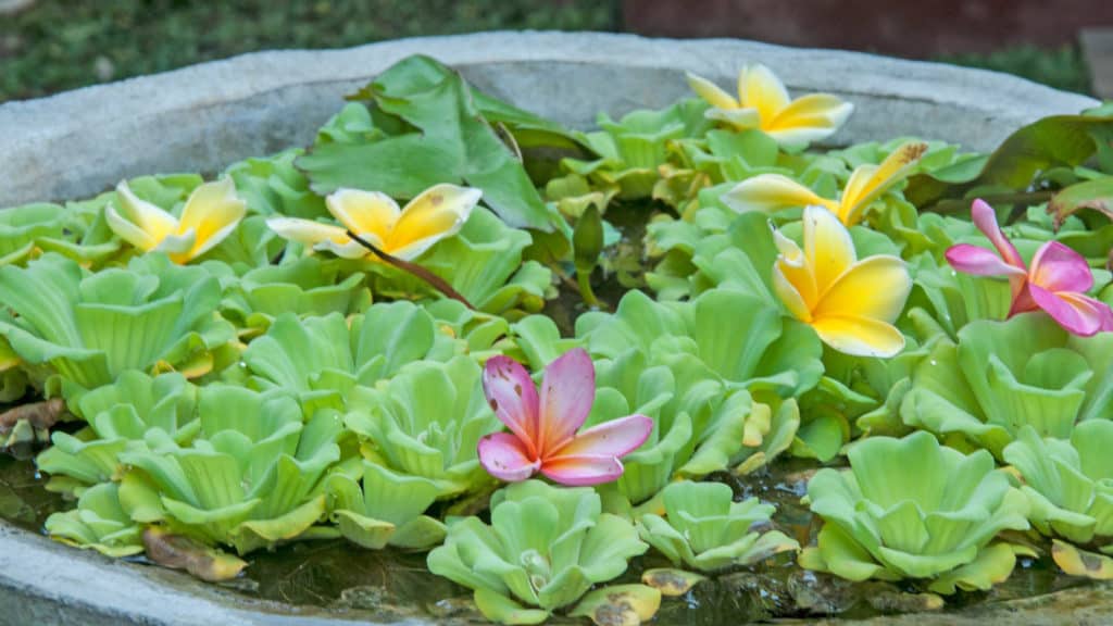 6 Powerful Wellness Therapies For You to Try Today 1 5 Powerful Wellness Therapies to Try Today