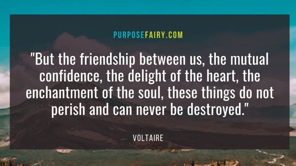 Voltaire: 40 Life-Changing Lessons to Learn from Voltaire 6 40 Life-Changing Lessons to Learn from Voltaire