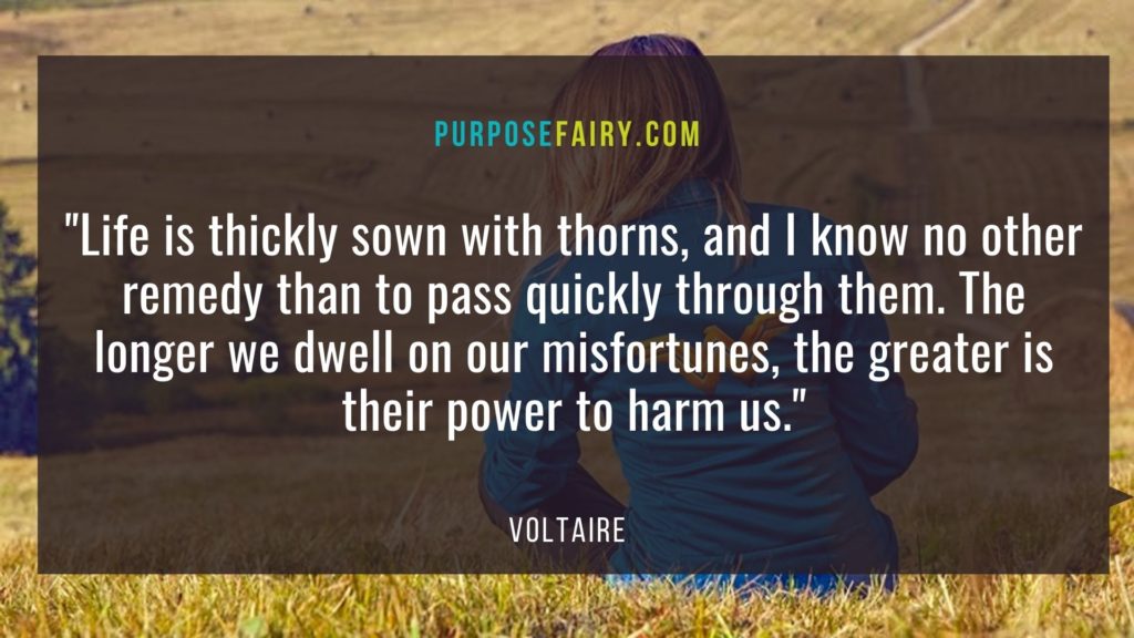 Voltaire: 40 Life-Changing Lessons to Learn from Voltaire 2 40 Life-Changing Lessons to Learn from Voltaire