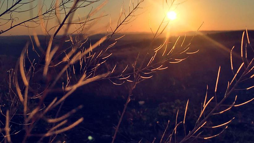 Powerful Advice for When You Feel Stuck in Life 1 Powerful Advice for When You Feel Stuck in Life