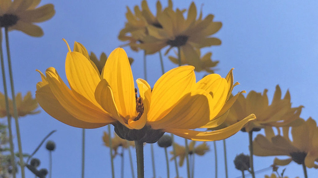 Self Love, Creativity, and The Powerful Connection Between Them 1 Self Love, Creativity, and The Powerful Connection Between Them