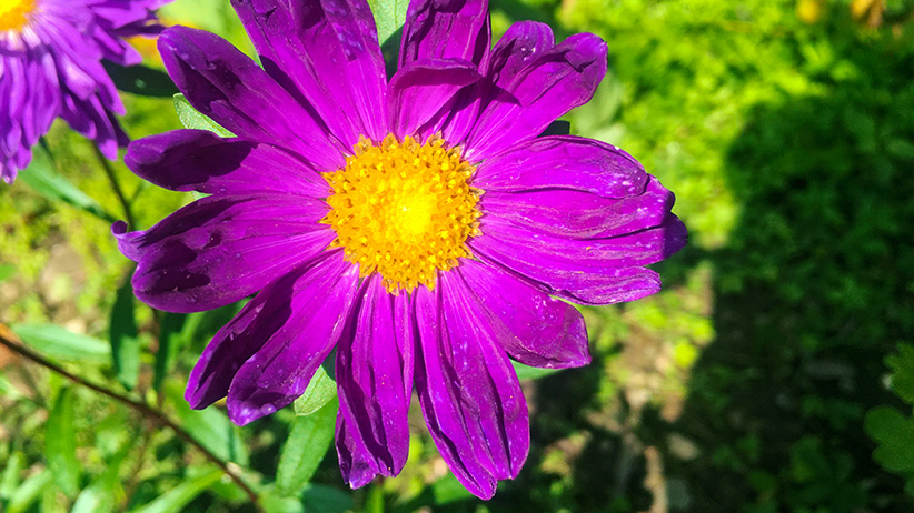 Powerful Hypnosis to Reprogram Your Mind for Abundance 1 Powerful Hypnosis to Reprogram Your Mind for Abundance