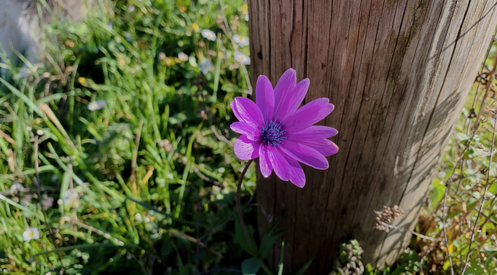 5 Beautiful Ways to Cultivate Gratitude and Foster Genuine Joy 1 5 Ways to Cultivate Gratitude and Foster Genuine Joy