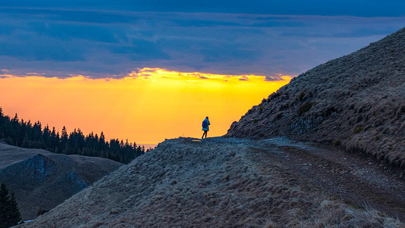 Living in Alignment: 3 Meaningful Ways to Truly Live Your Life 1 Living in Alignment: 3 Meaningful Ways to Truly Live Your Life
